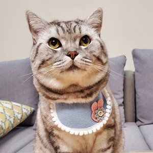 Dog Cat Cape Collar Bib Accessories Toy Collar Pet Dog Pink Blue Rabbit Necklace